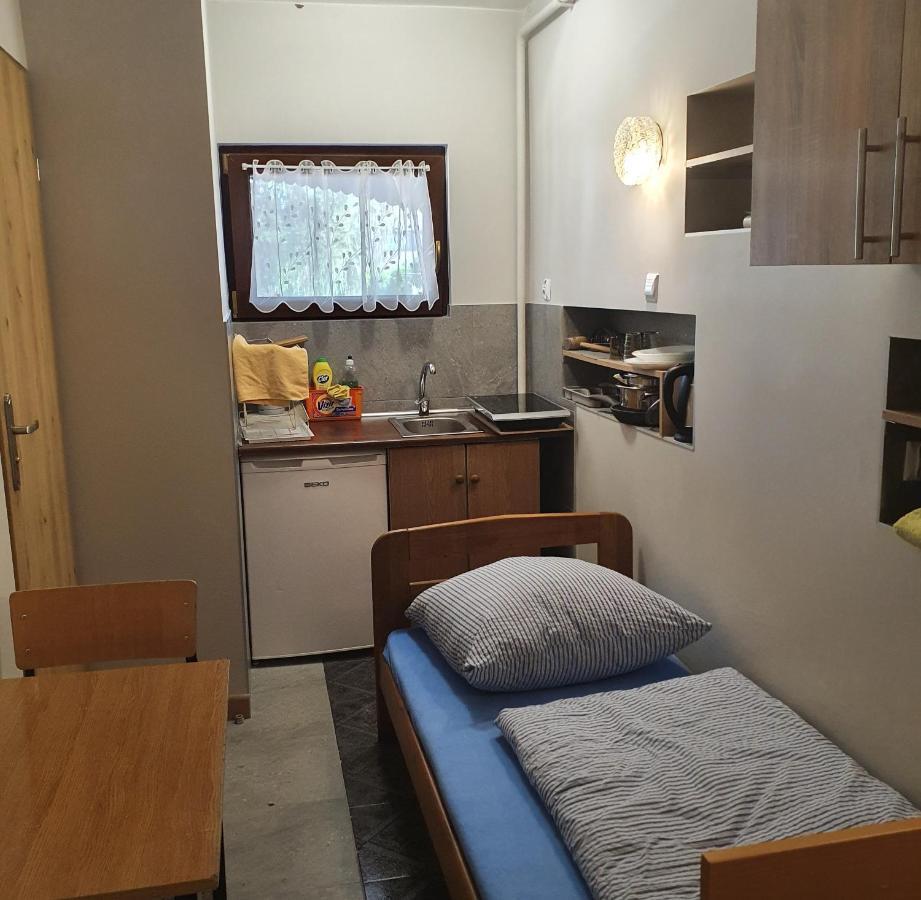 Noclegi Silesia Aster Тыхы Номер фото